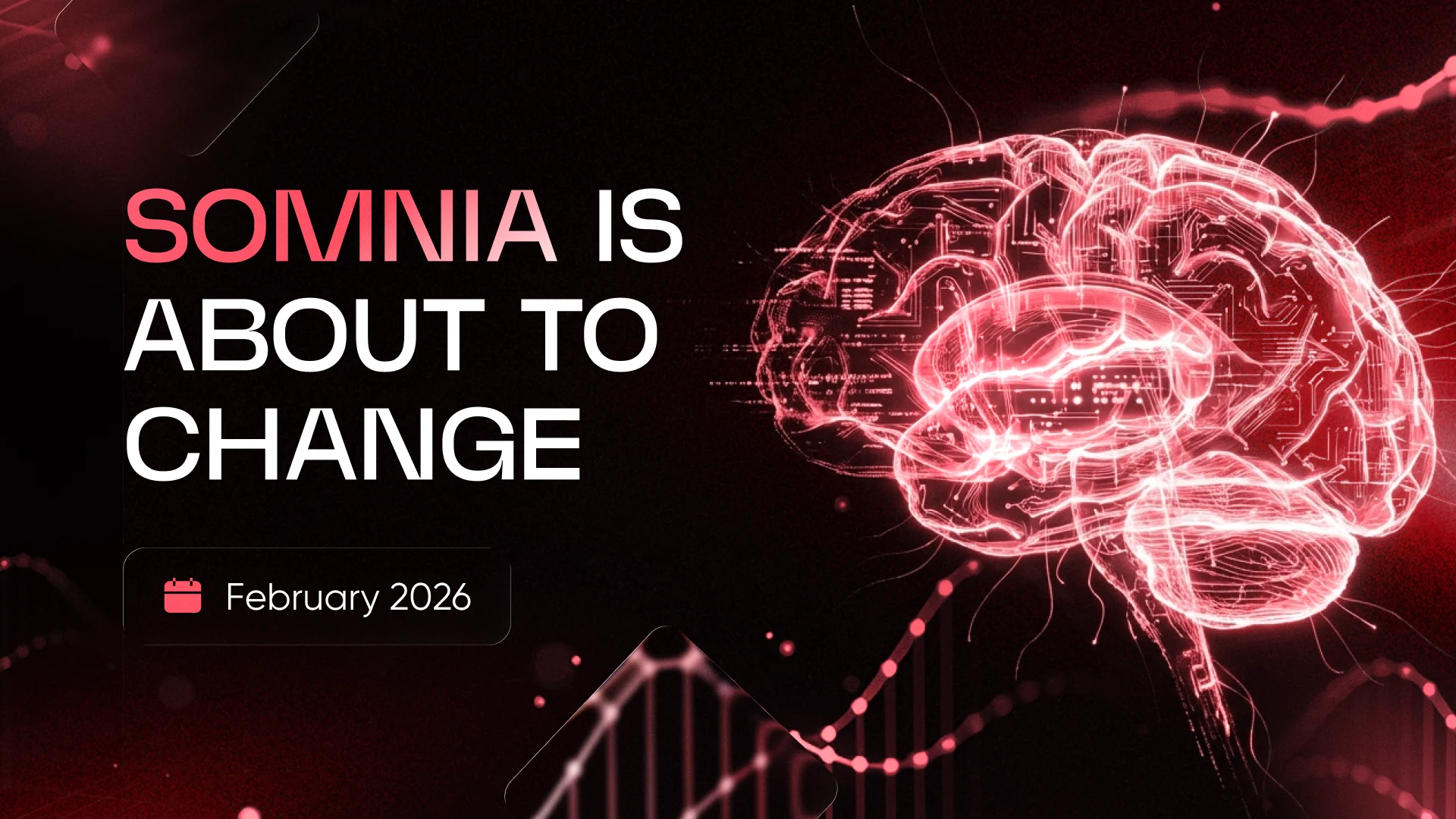 Somnia — 1 option